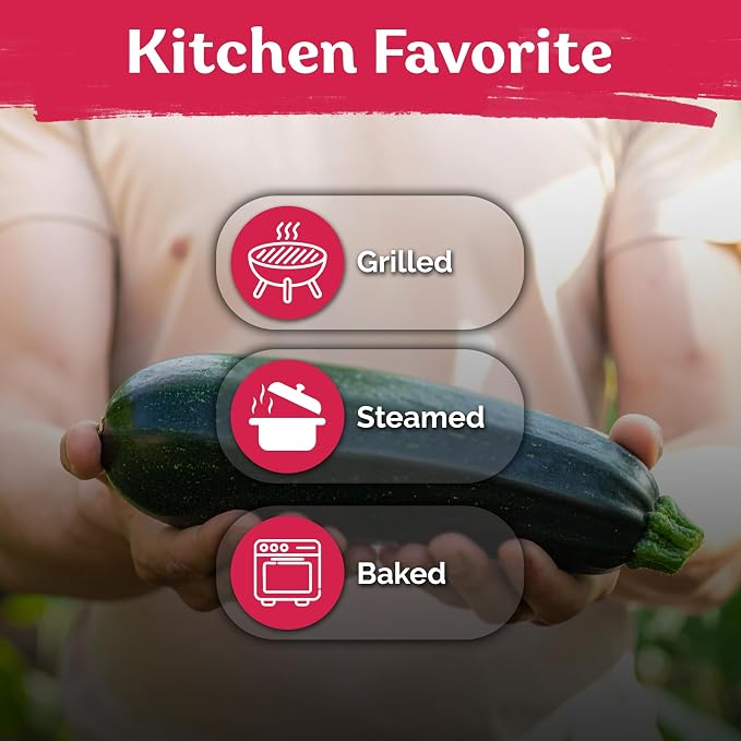 KVITER 50 Black Beauty Zucchini Seeds - Image 6