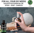 Eucalyptus Essential Oil - Image 5