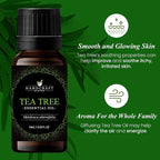 Handcraft Blends Tea Tree Essential Oil – 0.33 Fl Oz – 100% Pure and Natural – - Image 3