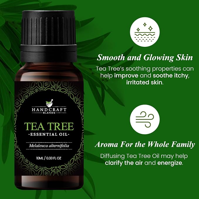 Handcraft Blends Tea Tree Essential Oil – 0.33 Fl Oz – 100% Pure and Natural – - Image 3