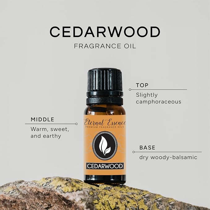 Cedarwood Premium Grade Fragrance Oil - 10ml - Scented Oils - Image 2