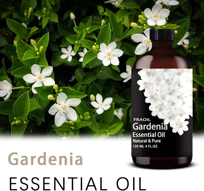 Gardenia Essential Oil, Gardenia Oil 4 Fl Oz 120ML - Image 2