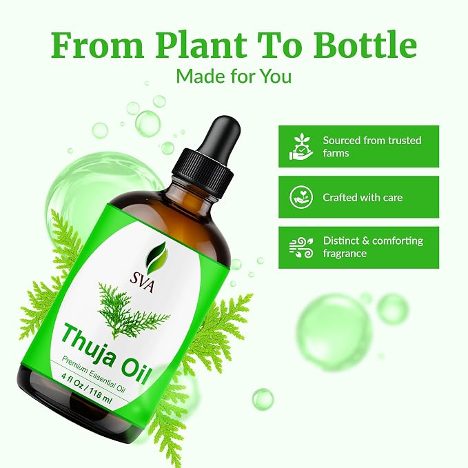 SVA Thuja Essential Oil – 4 Fl Oz – 100% Natural Thuja Oil - Image 4