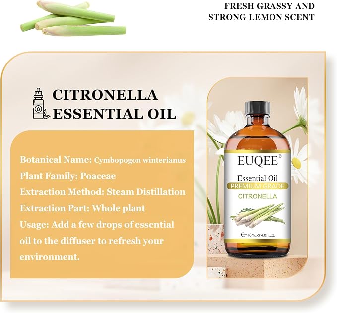 EUQEE Citronella Essential Oil, 118ml Large Gift Box Pure Citronella Oil - Image 2
