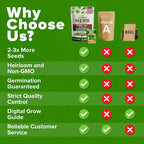 HOME GROWN Premium Herb Seeds Variety Pack - Image 6