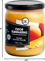Mango Odor Eliminating Highly Fragranced Candle - Image 8