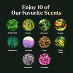 Essential Oils Set - Image 5