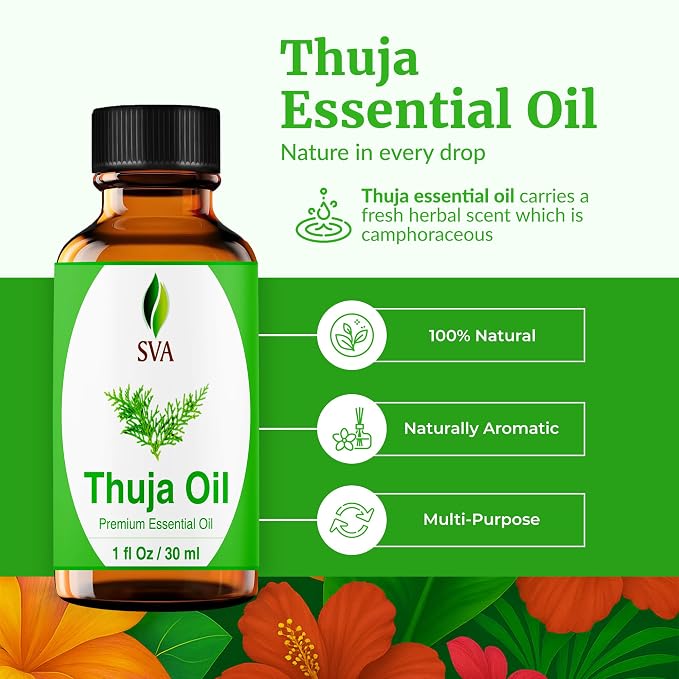 SVA Thuja Essential Oil – 1 Fl Oz – 100% Natural Thuja Oil - Image 2