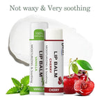 Dmsky Fruit Lip Balm Bulk - Image 6