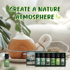 SALUBRITO Nature Fragrance Oils Set, Essential Oils Set - Image 6