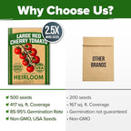 HOME GROWN Large Red Cherry Tomato Seeds 500+ Heirloom Non GMO Seeds - Image 7