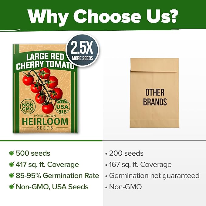 HOME GROWN Large Red Cherry Tomato Seeds 500+ Heirloom Non GMO Seeds - Image 7