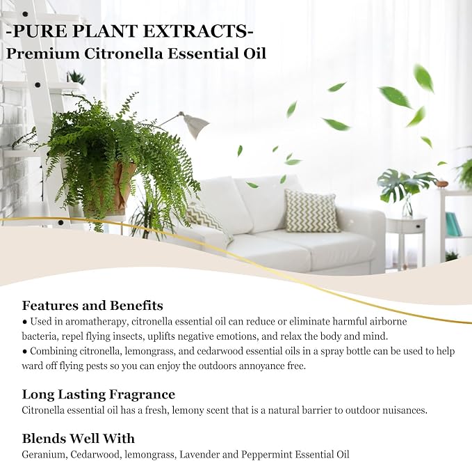 EUQEE Citronella Essential Oil, 118ml Large Gift Box Pure Citronella Oil - Image 4