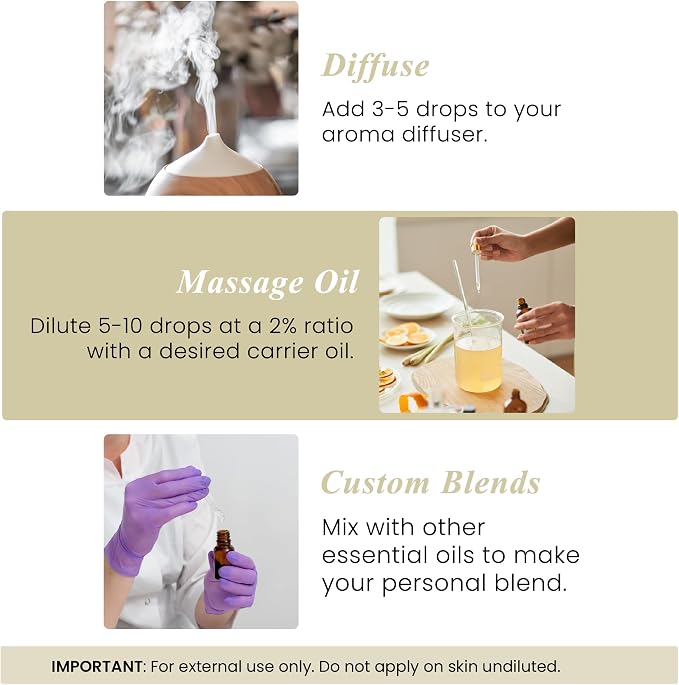 Handcraft Blends Vanilla Essential Oil – 1 Fl Oz – Pure and Natural Mix – - Image 6