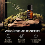 100% Pure Oregano Essential Oil - Image 5