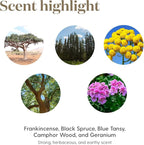 Young Living Valor Essential Oil - Image 5