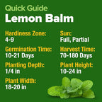 HOME GROWN Non GMO Lemon Balm Seed Pack - Image 5