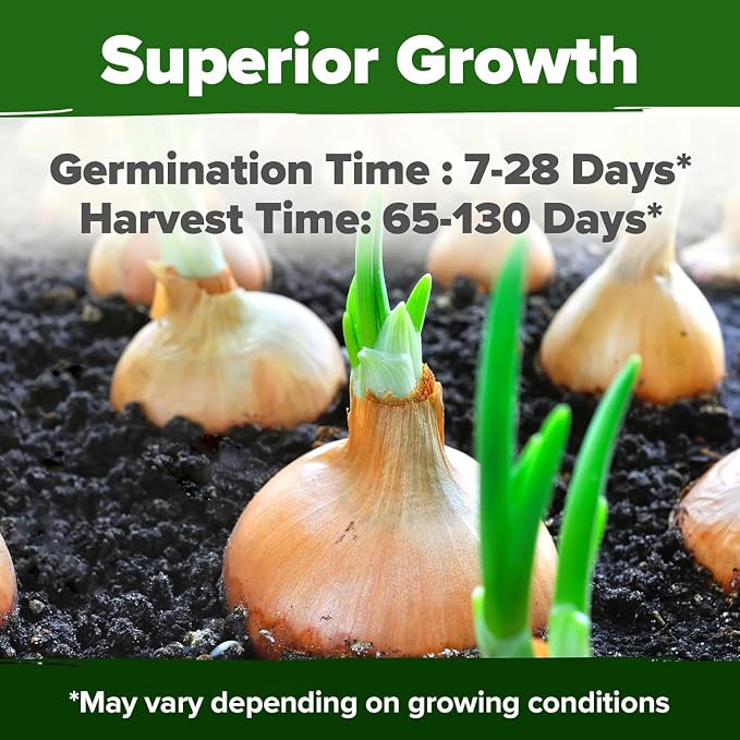 HOME GROWN 8 Onion Variety Mix 1600+ Heirloom Non-GMO Seeds - Image 5