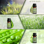 SALKING Spring Fragrance Oils Set, Premium Essential Oils Gift Set - Image 3