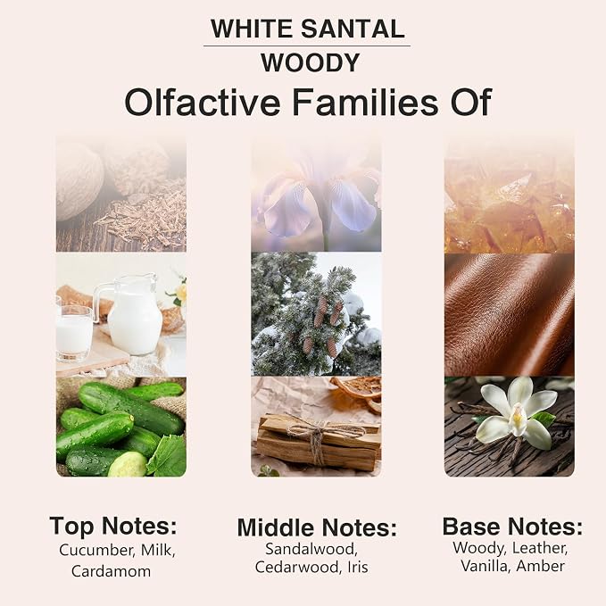 PHATOIL 3.38FL.OZ White Santal Fragrance Oils - Image 4