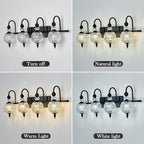 Piepooye Vintage Bathroom Light Fixtures Black Vanity Light - Image 5