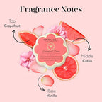 Spongellé Grapefruit Cassis Daisy Spongette Bath Sponge | Built-in Body Wash & - Image 3
