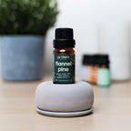 CANDECraftCo Premium Fragrance Oil – Diffuser Oils Fragrances Scented - Image 7