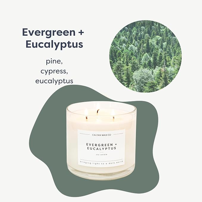 Calyan Wax Co. Evergreen & Eucalyptus 3 Wick Scented Candle - Image 2