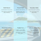 ASAKUKI Hotel Diffuser Oils Set, Hotel Scent Essential Oils - Image 4