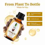 SVA Nutmeg Essential Oil – 1/3 Fl Oz – 100% Natural Nutmeg Oil - Image 4