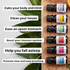 Aromatherapy Kits by Revive Essential Oils - Image 5