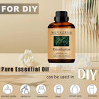 Eucalyptus Essential Oils, 240ML 100% Pure and Natural Essential Oil - Image 3