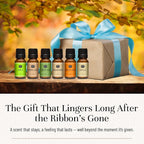 P&J Fragrance Oil Halloween Set | Autumn Wreath, Pumpkin Pie, Candy Corn - Image 5
