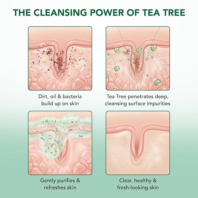 Botanic Hearth Tea Tree Eucalyptus Body Wash - Image 8