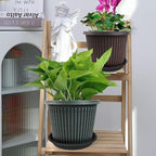 6 Pack Plant Saucers for Indoors, 4 5 6 7 8 9 10 11 12 13 15 17 19 inch Plant - Image 3