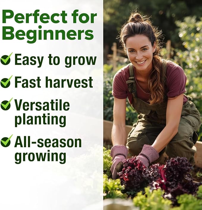 HOME GROWN Lettuce Seeds 8 Variety Mix 9000+ Bulk Pack Heirloom Non-GMO - Image 7