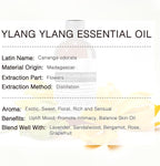 Ylang Ylang Essential Oil 100ML, 100% Pure and Natural Ylang Ylang Oils - Image 3