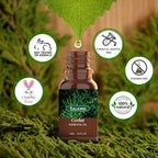 SALKING Woodsy Essential Oils Set - Image 5