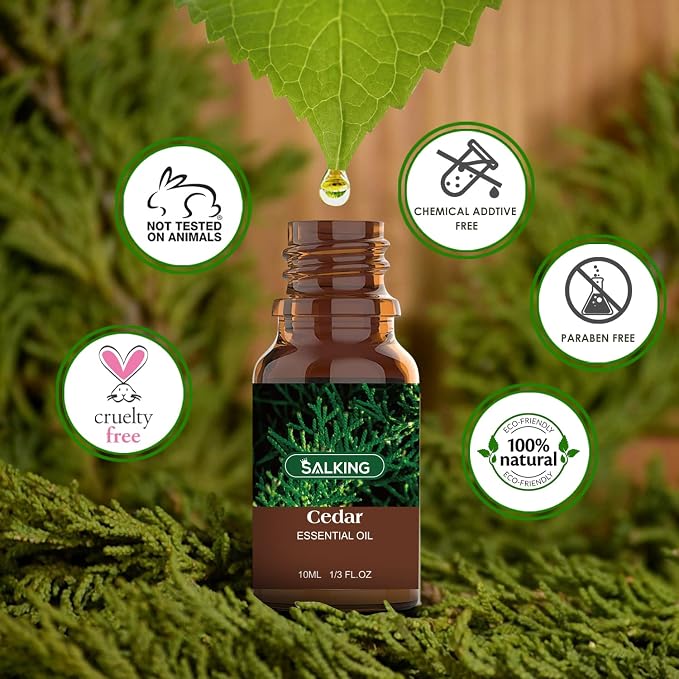 SALKING Woodsy Essential Oils Set - Image 5