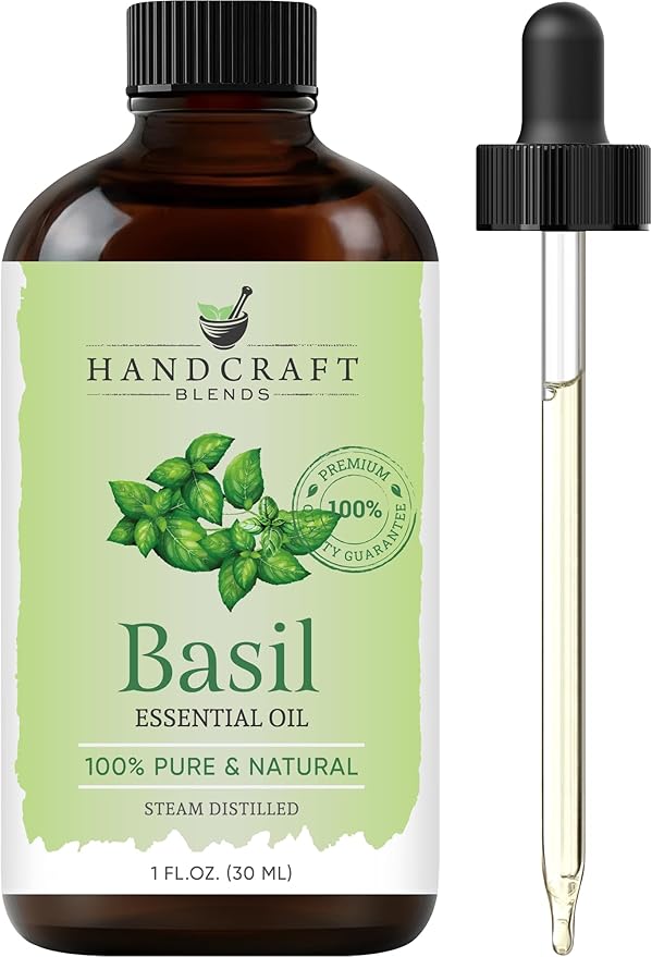 Handcraft Blends Basil Essential Oil – 1 Fl Oz – 100% Pure and Natural – by HandcraftBlends