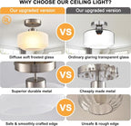 Industrial Nickel Matte Light Fixtures Ceiling Mount, - Image 3