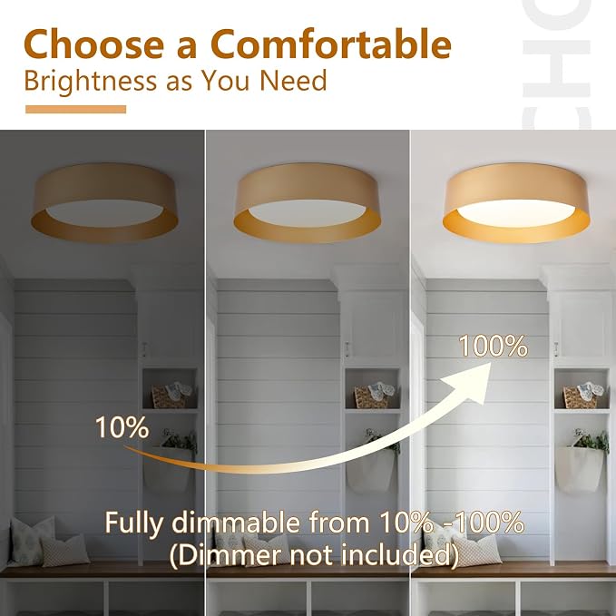 Bargeni Flush Mount Ceiling Light, 12.5 inch LED Ceiling Light Fixture - Image 5