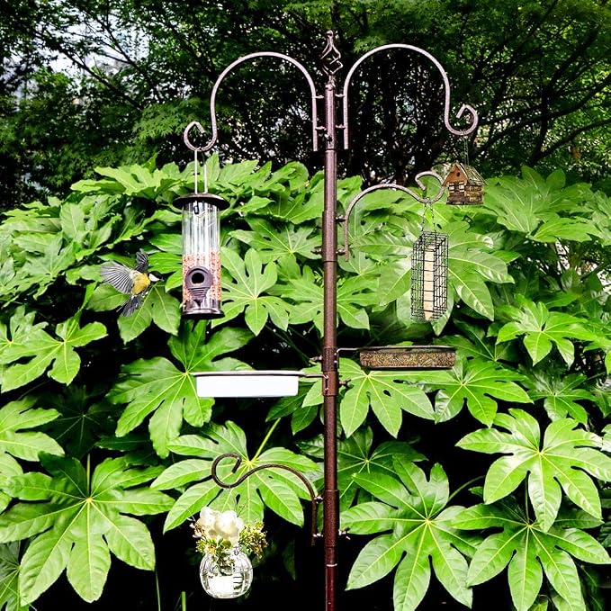 Deluxe Bird Feeding Station Kit - Image 7