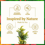 SVA Rue Essential Oil – 1/3 Fl Oz – 100% Natural Rue Oil - Image 3