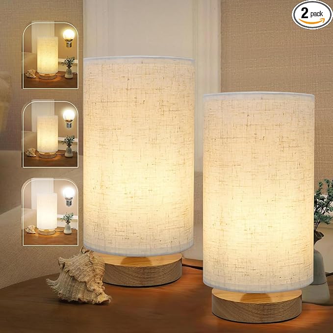 Minimalist Bedside Table Lamps for Bedrooms Set of 2, 3 Color Temperature by SEENSINY