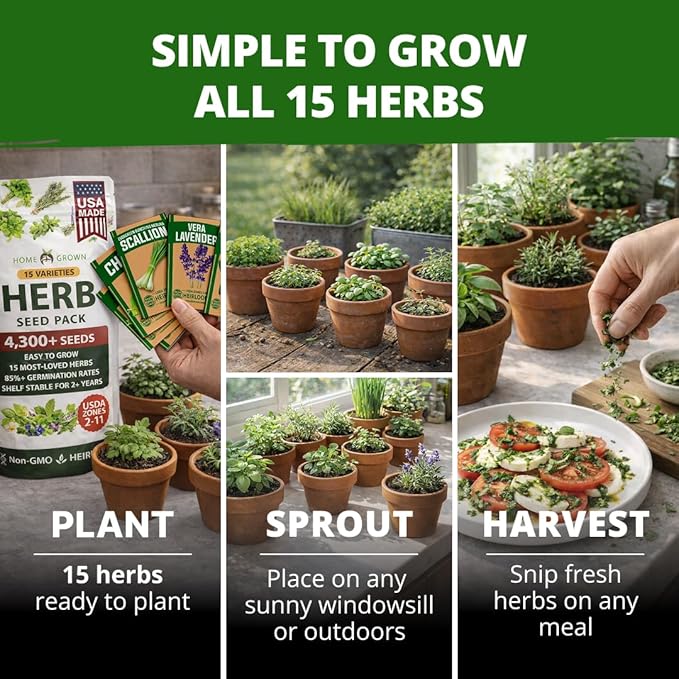 HOME GROWN Herb Seeds for Planting 15-Pack Massive Seed Count 4, 300+ Seeds - Image 2