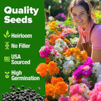 HOME GROWN 47000+ Moss Rose Seeds Annual Flower - Image 8