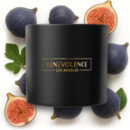 Benevolence LA 3 Wick Candle, Fig Tree Large Christmas Scented Candles | Soy by BenevolenceLA