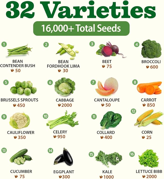 32 Heirloom Vegetable and Fruit Seeds - Image 3