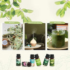 SALKING Nature Fragrance Oils, Premium Essential Oil - Image 7